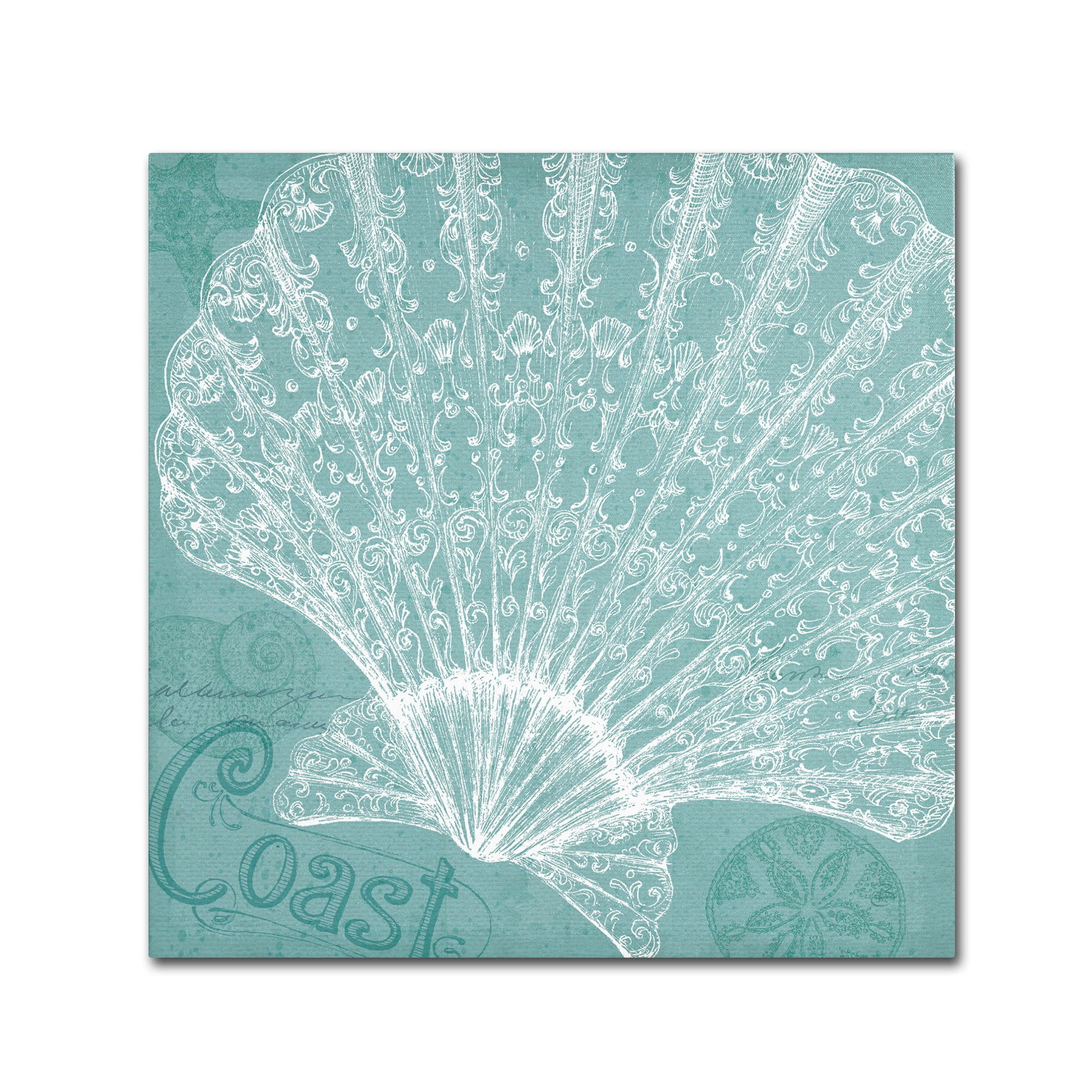 Trademark Fine Art "Aqua Treasure III" Canvas Art by Daphne Brissonnet