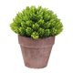 thumbnail image 1 of Maceta falsa Decoración de mesa de flores Flor artificial de plástico Bonsai Simulación de sala de estar Flor en maceta, Verde Methold HA8892-03B, 1 of 6