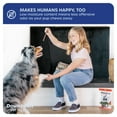 thumbnail image 6 of Downtown Pet Supply Bully Sticks for Small Dogs Rawhide Free Dog Chews 6", 5 lb, 6 of 9