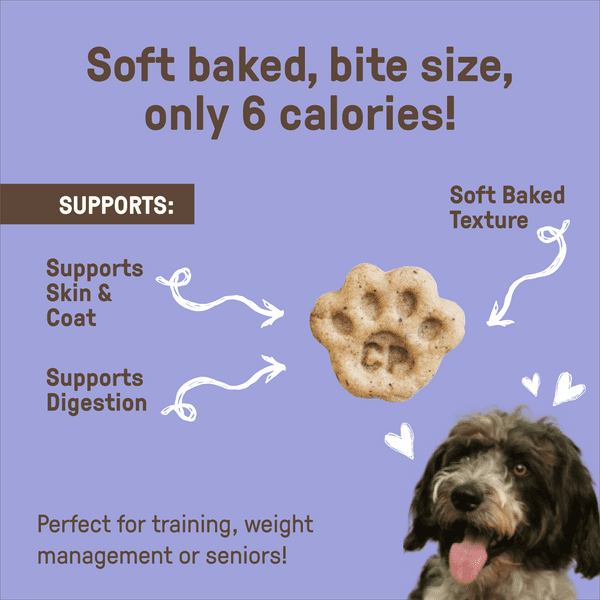 (Pack Of 4) Cookie Pal Dog Treat Soft Baked Pumpkin 8.8 Oz