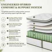 Beddle Hybrid Mattress, 10 inch Twin Size Medium Firm Pocket Spring Mattress in a Box, Motion Isolation, Edge Support, Fiberglass-Free, CertiPUR-US Certified