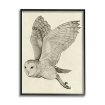 Stupell Industries Flying Barn Owl Wings Detailed Monochrome Drawing Framed Wall Art, 16 x 20, Design by Grace Popp