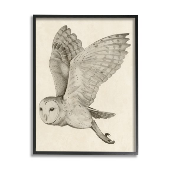 Stupell Industries Flying Barn Owl Wings Detailed Monochrome Drawing Framed Wall Art, 16 x 20, Design by Grace Popp