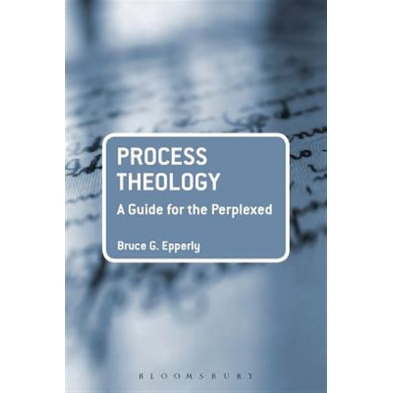 Pre-Owned Process Theology: A Guide for the Perplexed (Paperback) 0567596699 9780567596697