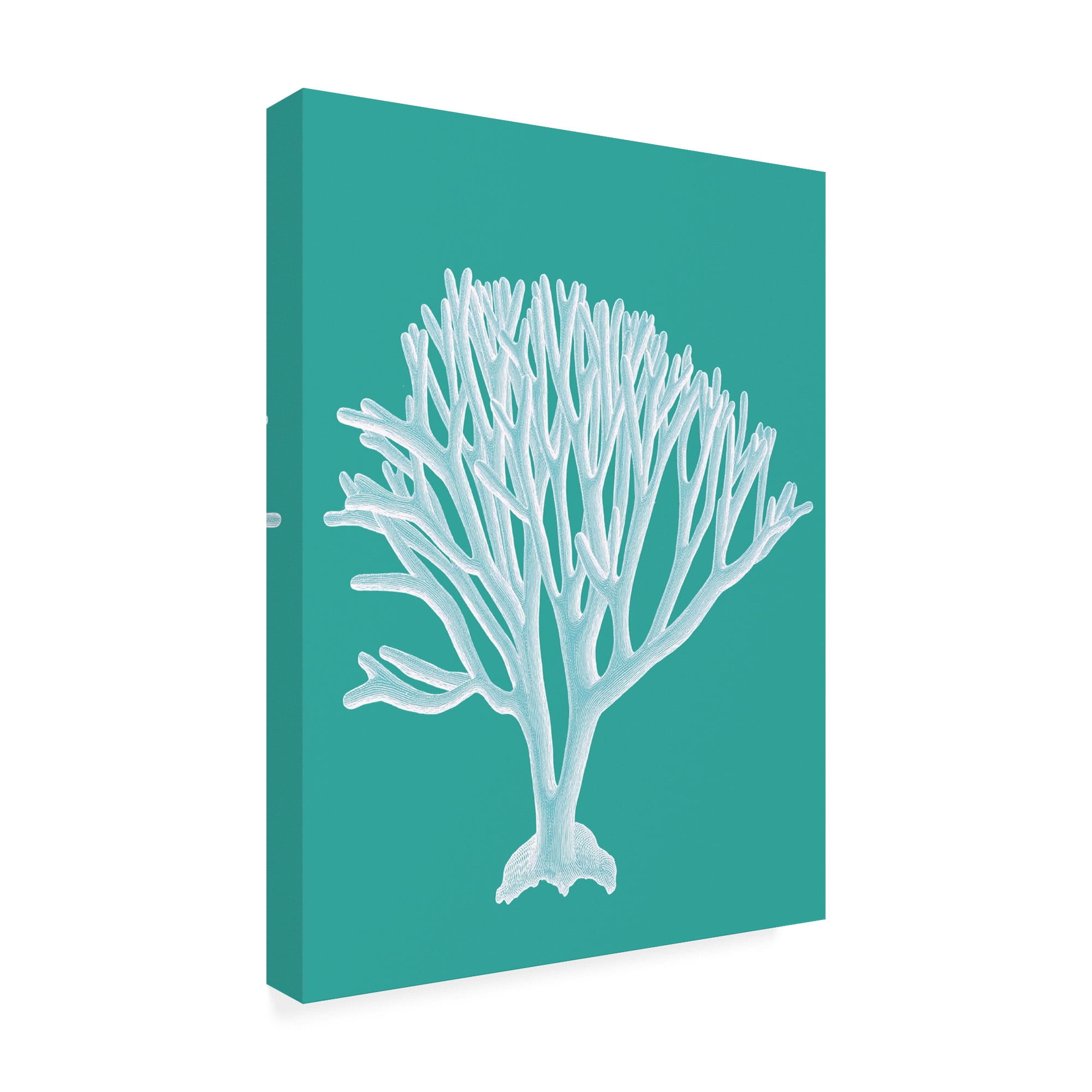 Trademark Fine Art 'Coral 2 White On Turquoise' Canvas Art by Fab Funky