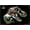 Black Framed Version, variant on Jurassic World: Rebirth (2025) - T. Rex Silhouette Wall Poster, 22.375" x 34"