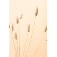 thumbnail image 2 of 1x Studio III 23x32 Gold Ornate Wood Framed with Double Matting Museum Art Print Titled - Bunny Grass Peach 02, 2 of 4