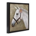 thumbnail image 2 of Stupell Industries Cottage Boho Barnyard Horse Black Floating Frame Canvas Art, 18 x 18, by Suzanne Nicoll, 2 of 8