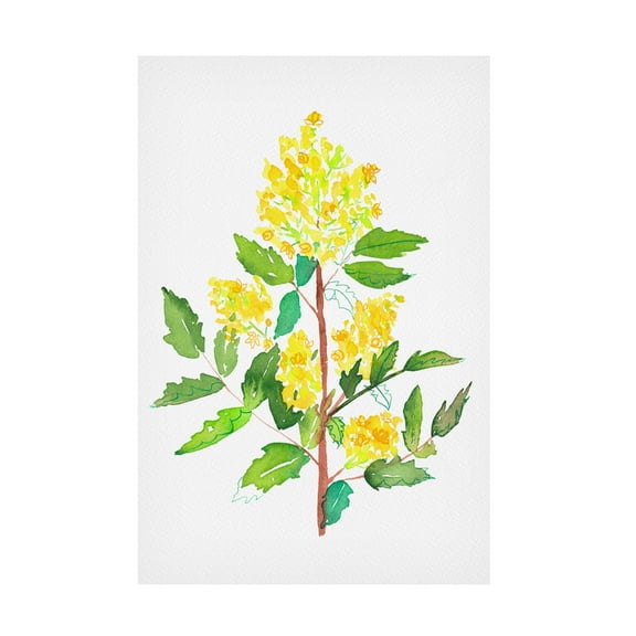 Trademark Fine Art Kata Botanical Oregon grape botanical painting Canvas Wall Art