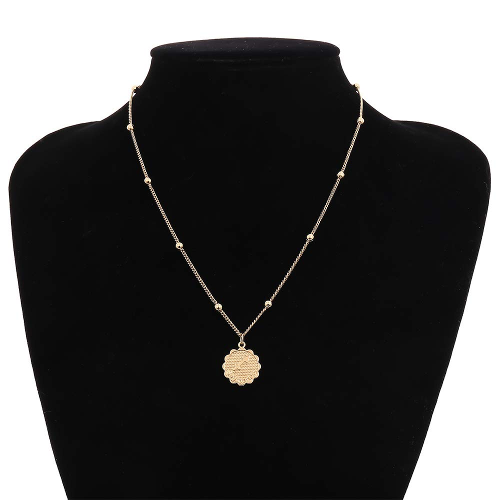 Zodiac Sign Necklace with Medallion 