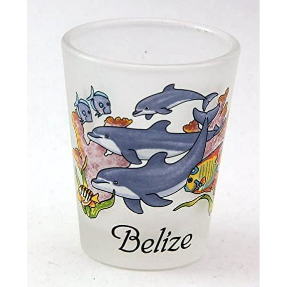 Belize Jumping Dolphins Frosted Caribbean Shot Glass