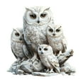 thumbnail image 2 of Orangide White Owl Garden Stakes, Lawn Decor Yard Sign with Metal Ground Insert for Outdoor Plant Pots, Spring Home Decoration for Patio Front Yard Landscape, 2 of 6