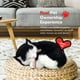 thumbnail image 5 of Juguete interactivo para mascotas de peluche 88 Unlimited Original Petzzz, 5 of 8