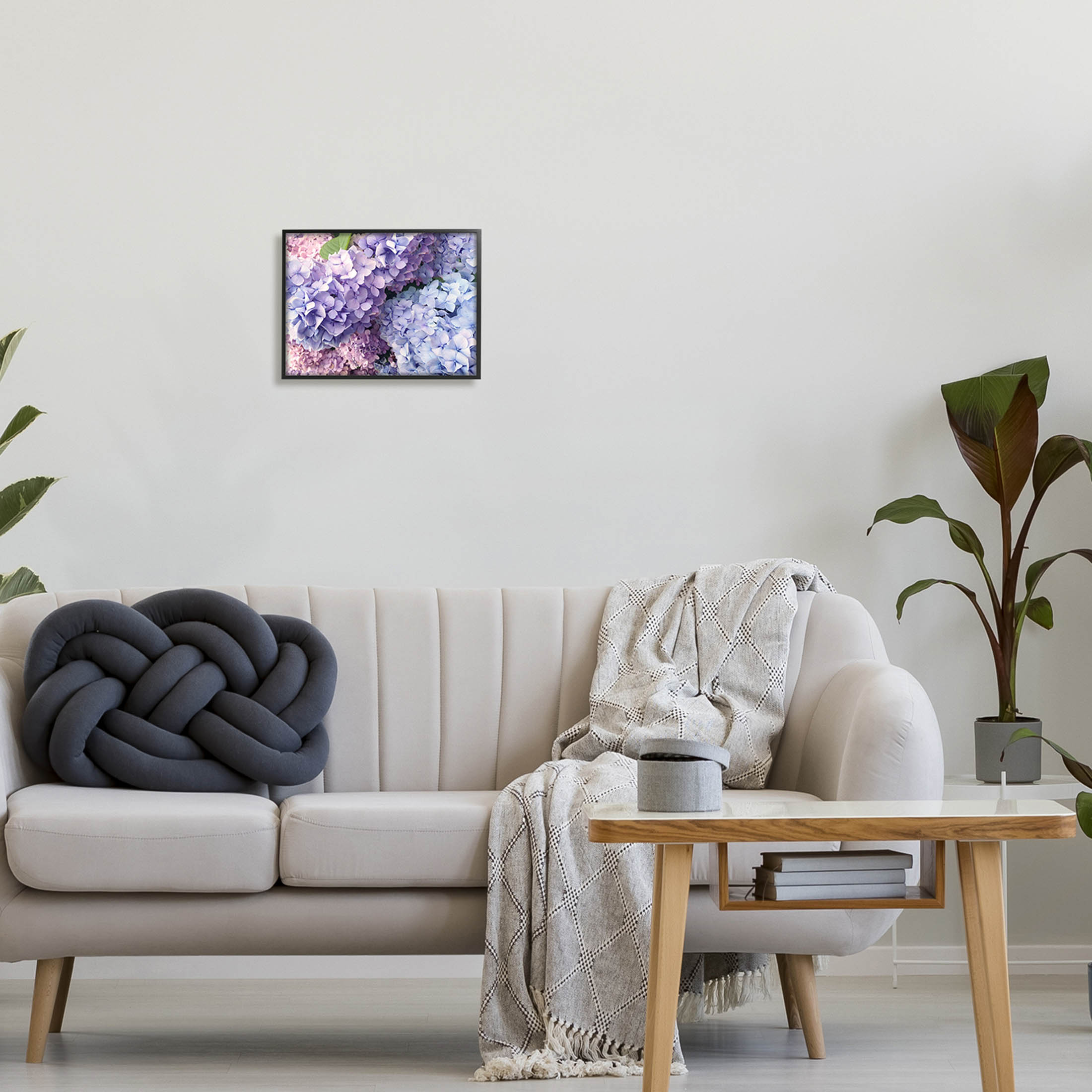 Pastel Hydrangea Flower Petals Botanical & Floral Photograph Black Framed Art Print Wall Art