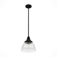 thumbnail image 5 of Hunter - Cypress Grove 1-light Natural Black Iron, Small Pendant Light, Dimmable, Transitional Style, Dome Shaped, for Bedrooms, Dining, Living Rooms - 19247, 5 of 8
