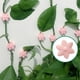 thumbnail image 4 of Clips de Pared para Plantas Trepadoras, Soporte de FijacióN con Forma de Flor para Plantas Trepadoras de BalcóN, 4 of 5