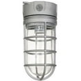 thumbnail image 2 of SUNLITE VT100 vaporproof wall mount fixture metalic finish with clear glass, 2 of 2