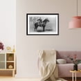 thumbnail image 3 of Historic Framed Print, The Cavalier. The young soldier and his horse on duty [a]t camp Cheyenne.photo and copyright by Grabill., 17-7/8" x 21-7/8", 3 of 9