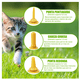 thumbnail image 5 of "Set Lactancia Biberón Mamila Cachorro Gato Perro 13 Piezas Belug Transparente ", 5 of 5