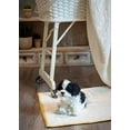 thumbnail image 2 of DEMDACO Sitting Small Havanese Dog Black and White Children's Plush Stuffed Animal, 2 of 5