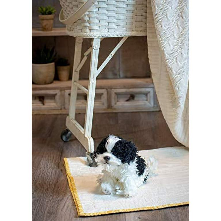 Havanese top stuffed animal