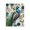 Majestic Peacock Botanical Roses, variant on Stupell Industries Traditional Peacock Pride Botanicals Canvas Art, 16 x 20, by Kim Allen