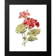 thumbnail image 2 of Robinson, Carol 12x14 Black Modern Framed Museum Art Print Titled - Scarlet Geranium, 2 of 5