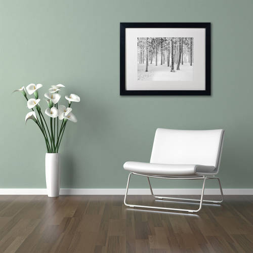 Trademark Fine Art "Frozen World" Canvas Art by Philippe Sainte-Laudy, White Matte, Black Frame