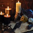 thumbnail image 4 of Paquete de 6 decoraciones de cuervos para Halloween, accesorios de pájaros de plumas negras falsas hechos a mano de tamaño real, 4 of 5