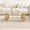 Clear+Gold, variant on Modern Luxury Gold Oval Coffee Table 47", 2 Tier Tempered Glass Shelves, Unique Organ Pipe Design, Shiny Stainless Steel Frame, Living Room Center Table (47" x 23.6" x 17.7")(Clear+Gold)