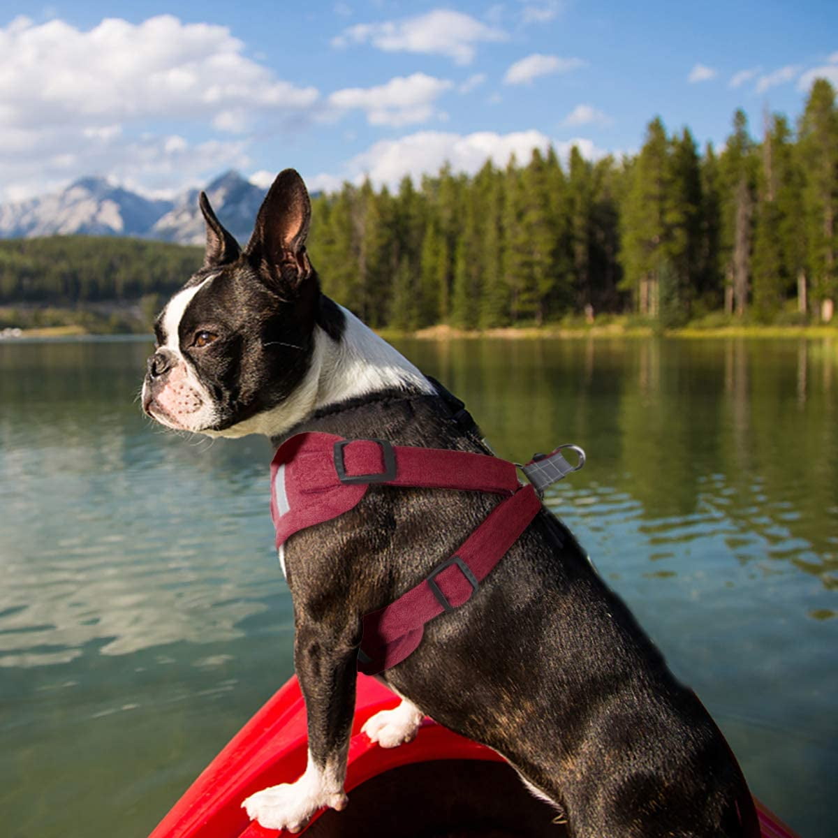 soft touch dog harness