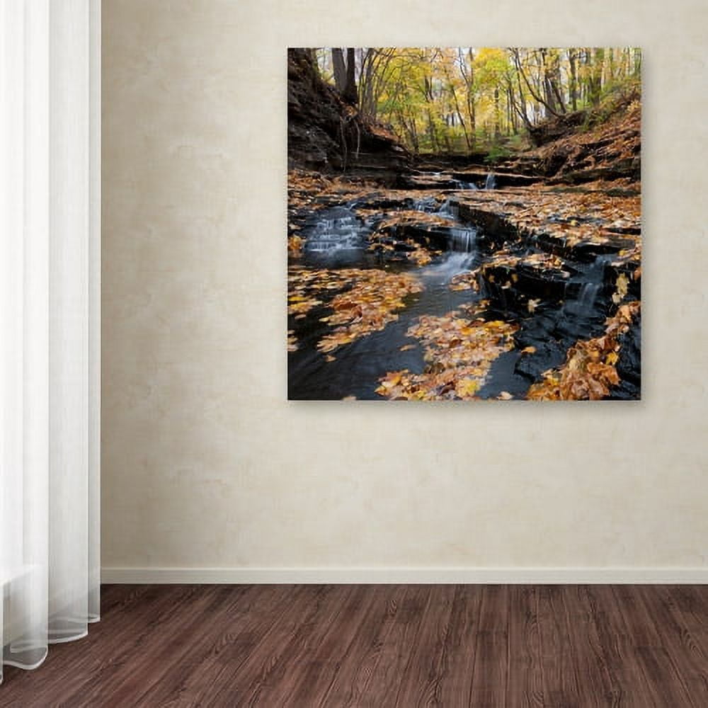 Trademark Fine Art "Lakeview Autumn Falls" Canvas Art by Kurt Shaffer