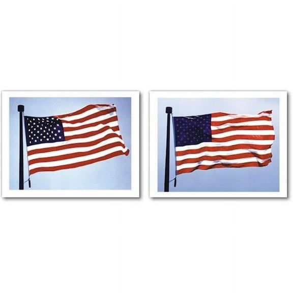 2-.5 ft. X 4 ft. Sun-Glo U.S. Flag, Dyed