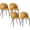 Yellow, variant on HOMCOM Dining Chairs Set of 4, Velvet-touch Upholstery Side Chair, Black