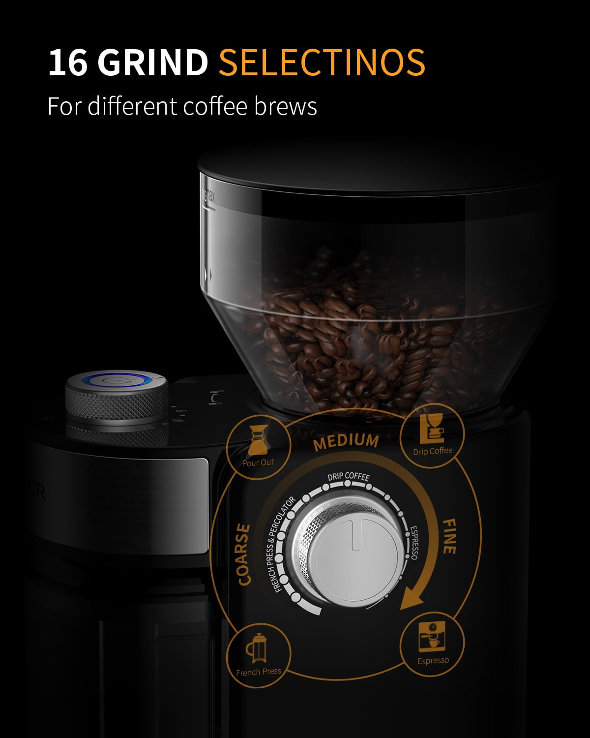 Regalia Electric Coffee Grinder | Burr Grinder | 31 Grinding Settings | Set  Variable Coffee Texture, Fine, Medium, Coarse | Grind Beans for Espresso