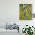 thumbnail image 3 of Trademark Fine Art 'Birding I' Canvas Art by Chariklia Zarris, 3 of 4