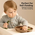 thumbnail image 4 of Platos Infantiles KeaBabies Desierto 100% Silicona con Ventosa para Bebé, 4 of 9