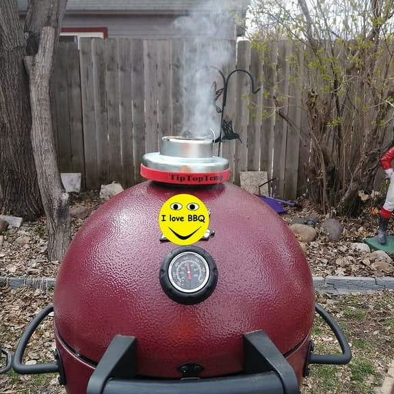 Tip Top Temp Attachable Grill Temperature Regulator (TTT-03 CF4), Silver