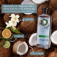 thumbnail image 3 of Shampoo Herbal Essences Hidrata Agua de Coco & Jazmín 240 ml, 3 of 5