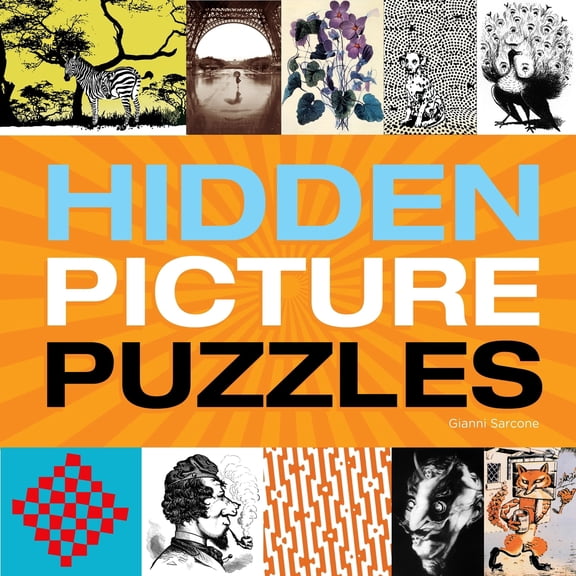 Pre-Owned Hidden Picture Puzzles (Paperback) 1623540380 9781623540388