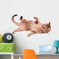 thumbnail image 1 of Brown Cat Breed Bengal Wall Decal Sticker by Wallmonkeys Vinyl Peel and Stick Graphic (36 in W x 21 in H), 1 of 4