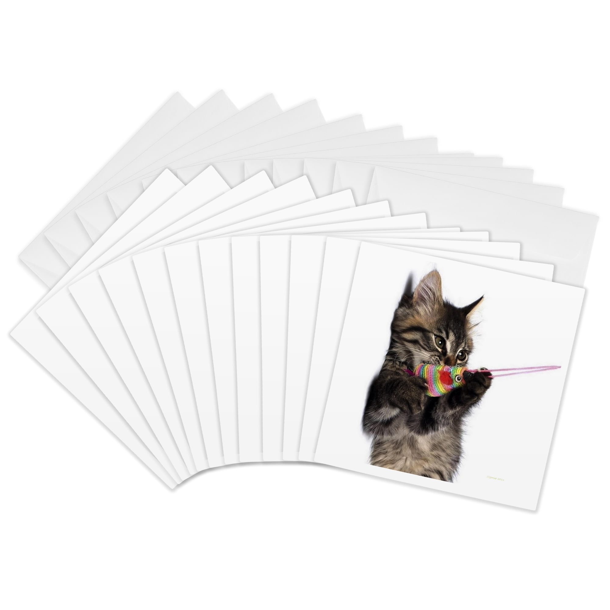 3drose Tabby Kitten 12 Greeting Cards with Envelopes