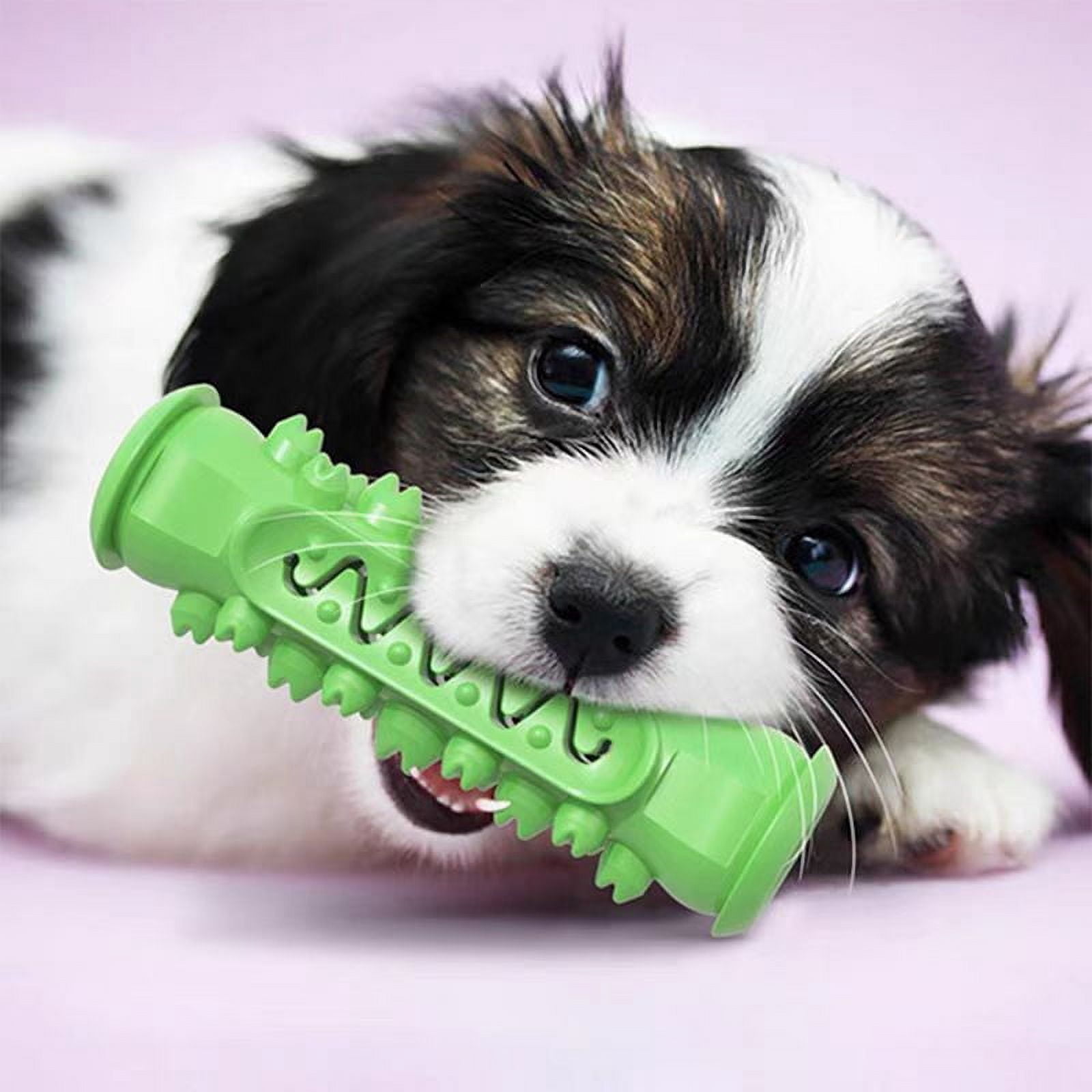 TINGDUANJIAN 2 Pcs Interactive Tough Pet Toys Toothbrush Stick Green Blue for Dog