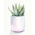 thumbnail image 3 of Parker, Jennifer Paxton 12x14 Black Modern Framed Museum Art Print Titled - Potted Succulent III, 3 of 5