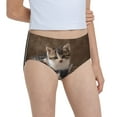 thumbnail image 6 of Pofeuu Cat Family Print Soft Cotton Underwear Girls'Briefs Soft Undies, 6 of 7