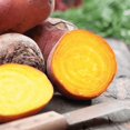 thumbnail image 1 of HIGHGW Beet Seeds (100 Seeds, Golden Boldor Beet), 1 of 2
