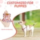 thumbnail image 2 of Arnés para perros SlowTon sin tirones con correa para perros pequeños y medianos, 2 of 7