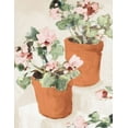 thumbnail image 2 of Slivka, Jane 20x24 White Modern Wood Framed Museum Art Print Titled - Potted Pink Geraniums, 2 of 4