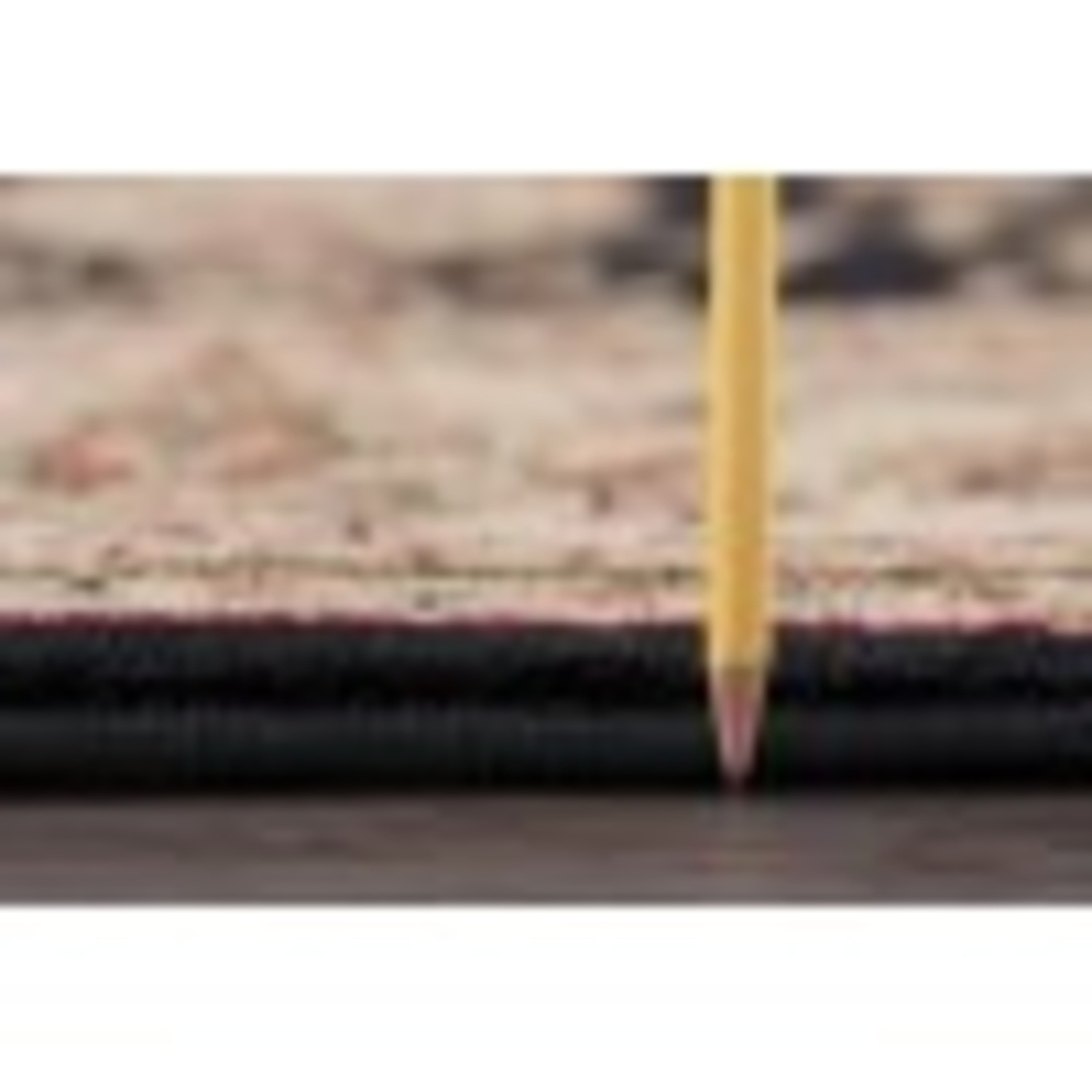 Sensation Transitional 2' x 10' Black and Beige Polypropylene Indoor Area Rug