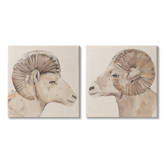 Asymmetrical Big Horn Portraits Neutral Brown Beige Animals & Insects Gallery-Wrapped Canvas Print Wall Art, Set of 2, 17x17